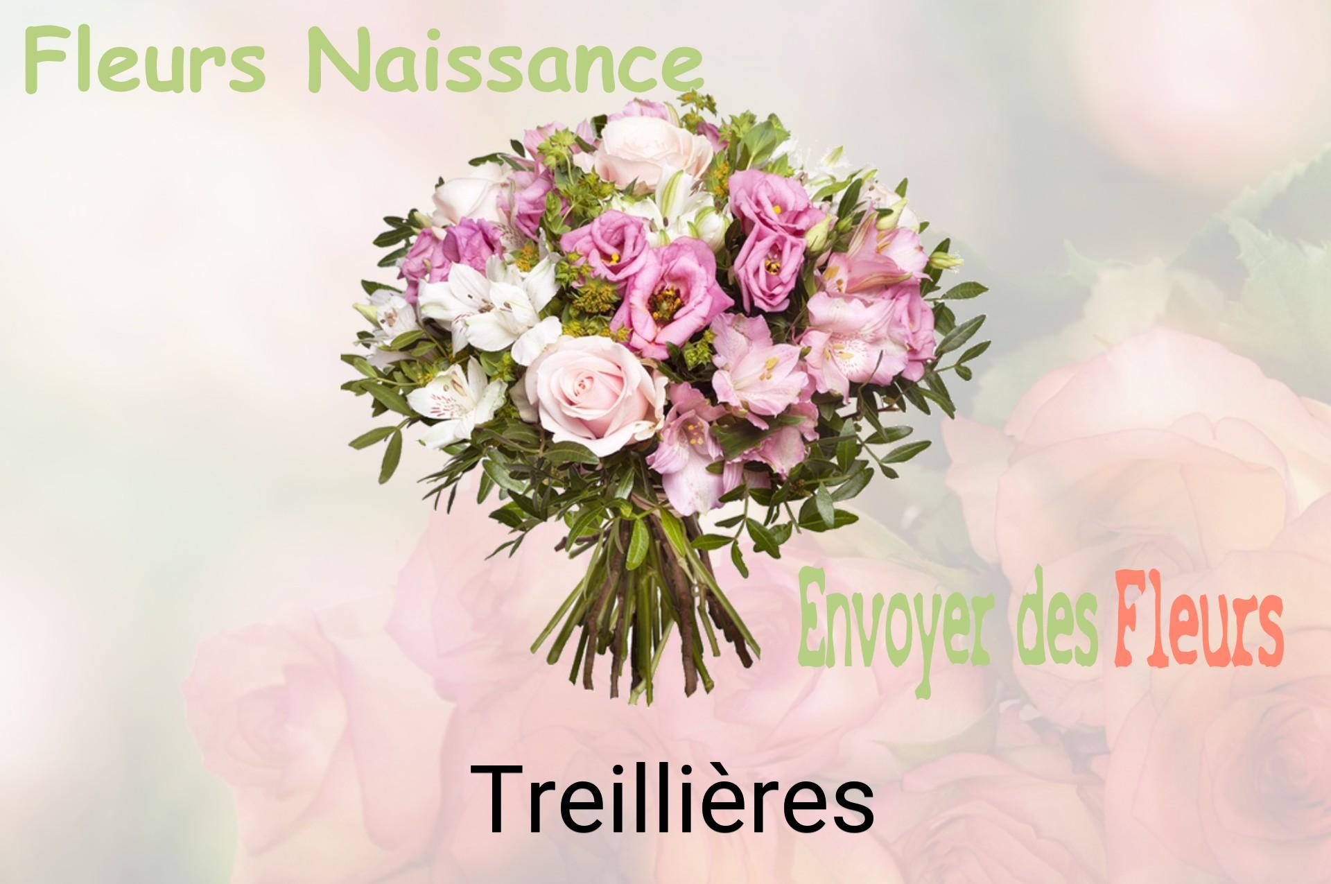 Bouquet de fleurs de naissance livré à Treillières