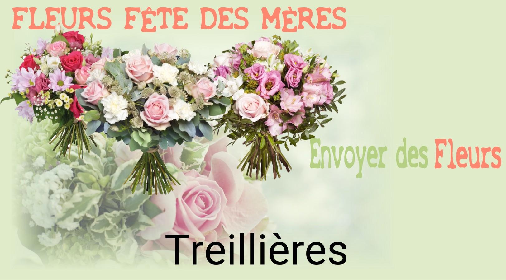 Bouquet de Fête des Mères livré à Treillières